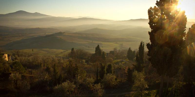 从枝头到舌尖：解锁新鲜水果的营养密码与生鲜电商选购全指南