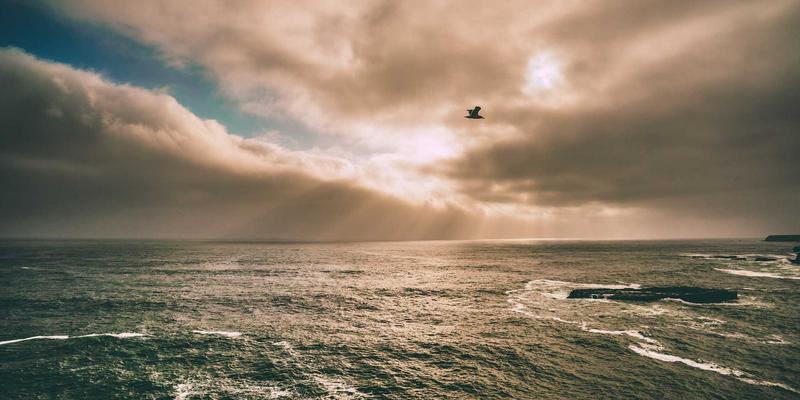 从生鲜电商到日式禅意：解锁新鲜水果的现代生活美学