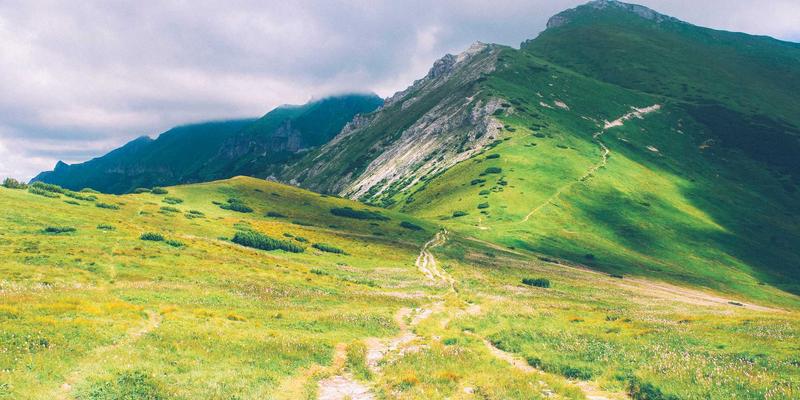发酵水果的益生菌力量：融合日式禅意的健康生活艺术