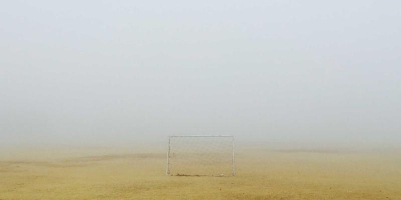 日式禅意中的新鲜水果：解密ORAC值，寻找真正的抗氧化冠军