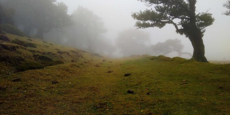水果发现之旅：生鲜电商如何重塑我们的健康生活