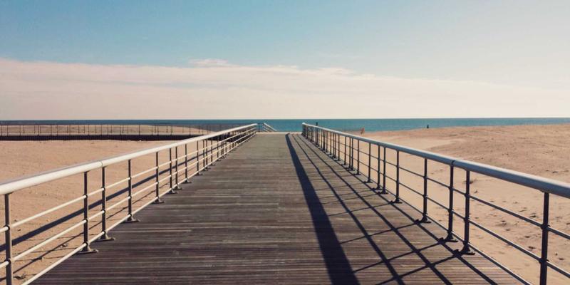 水果发现:解锁日常健康生活的营养密码