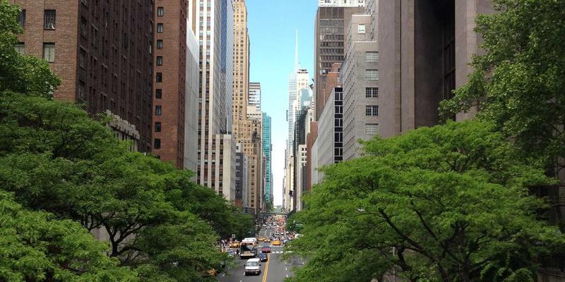 水果百科：揭秘浆果类水果的抗炎力量，新鲜水果如何成为慢性炎症的天然克星