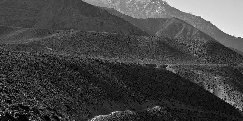 水果百科：破除果糖恐惧症！水果中的天然糖与添加糖的五大本质区别