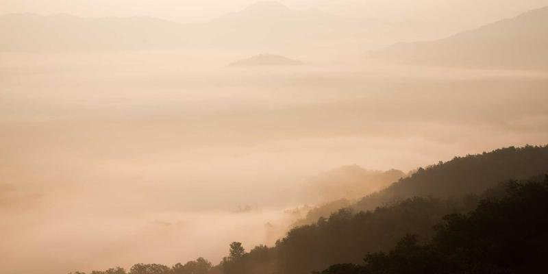 水果的‘寒热温凉’：中医食疗角度解读水果属性与体质搭配指南