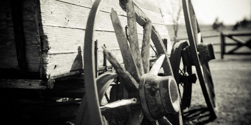 水果的寒热温凉属性解析：中医角度教你根据体质吃对水果，发现日式禅意健康生活