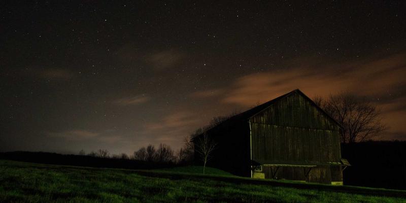 水果的疗愈密码：从中医典籍到西方神话中的健康生活智慧