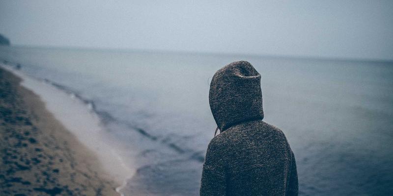 水果知识30:探索新鲜水果的奥秘与发现之旅