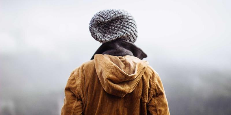 水果知识49：从田野发现到指尖订购，生鲜电商如何重塑我们的水果认知版图