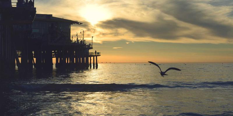 水果知识怎么用：从生鲜电商到健康生活的全方位指南