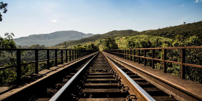 水果籽的妙用与培育：从生鲜电商的新鲜果核到窗台小森林的养成记