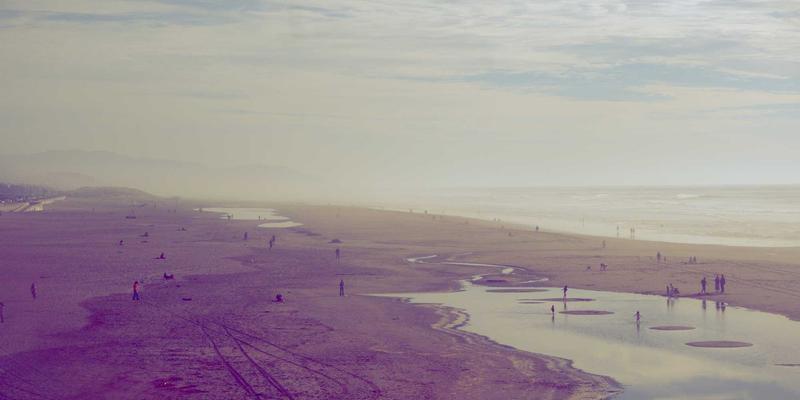 热带水果图鉴：解锁山竹、红毛丹与释迦的挑选秘诀、日式禅意食用法与健康生活