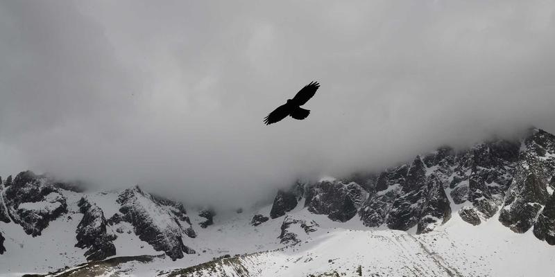生鲜电商必读：解锁发酵水果的魔力，从韩国水果泡菜到北欧发酵饮料的健康奥秘