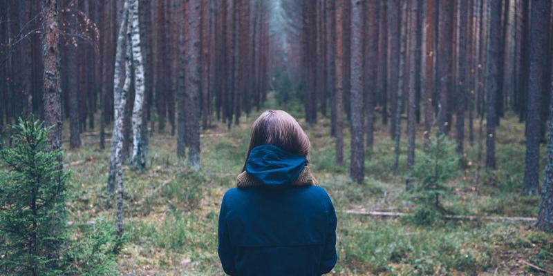 解锁水果营养密码：从新鲜挑选到科学食用的完整指南