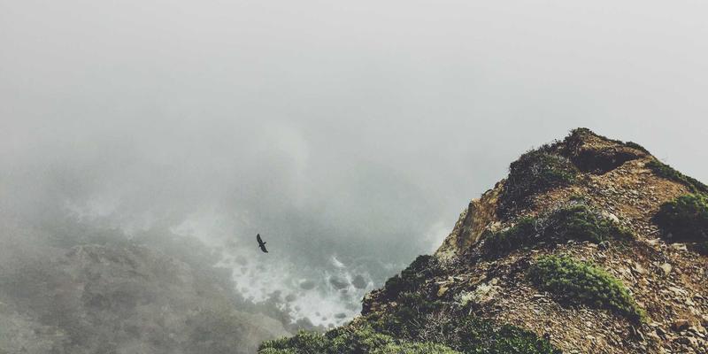 解锁水果营养密码：从新鲜挑选到科学食用的最佳实践